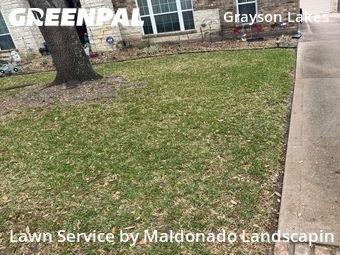 Lawn Cut nearby Katy, TX, 