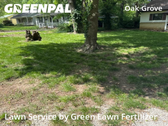 Lawn Cut nearby Springfield, MO, 