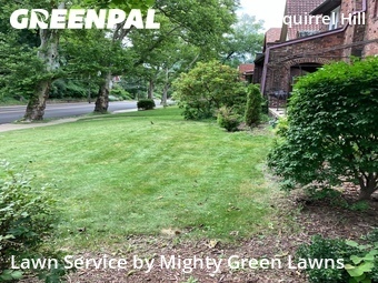 Affordable Landscaping Maintenance Services In Pittsburgh,15217,Landscapers by Mighty Green Lawns, work completed in Jun , 2026