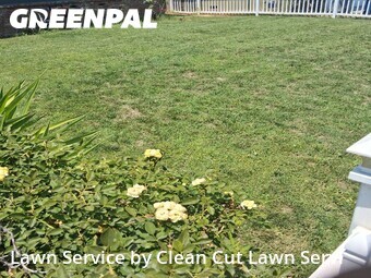 Lawn Care Service nearby Fresno, CA, 