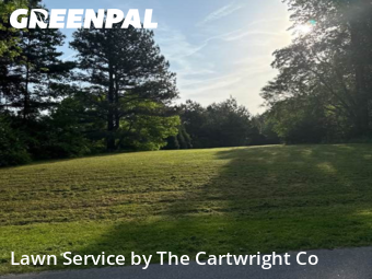 Yard Cutting nearby Chapel Hill, NC, 