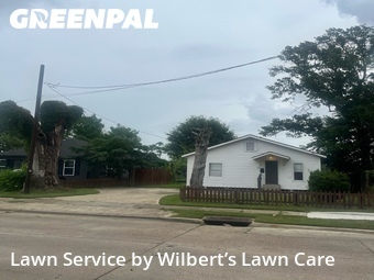 Grass Cut nearby Lake Charles, LA, 