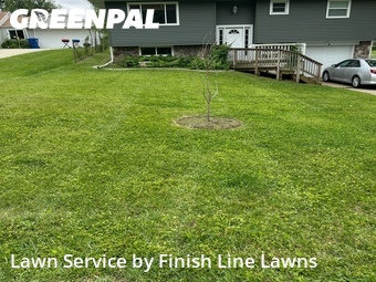 Grass Cutting nearby Moline, IA, 
