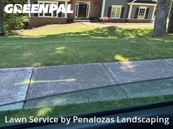 Lawn Care nearby Cumming, GA, 