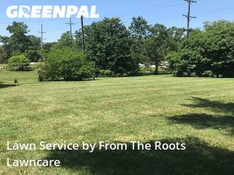 Lawn Cutting nearby Wheaton, IL, 