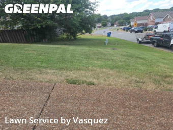 Lawn Mow nearby Mt. Juliet, TN, 