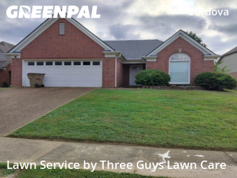 Turf Services in Cordova, 38016, Lawn Services by Three Guys Lawn Care, work completed in Nov , 2025