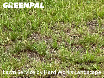 Lawn Cut nearby North Ridgeville, OH, 