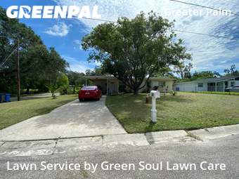 Grass Cut nearby Tampa, FL, 