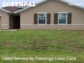 Lawn Care nearby Cape Coral, FL, 