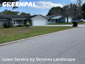 Lawn Cut nearby St. Cloud, FL, 