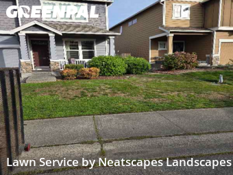 Lawn Cutting nearby Puyallup, WA, 