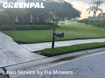Lawn Service nearby Trinity, FL, 