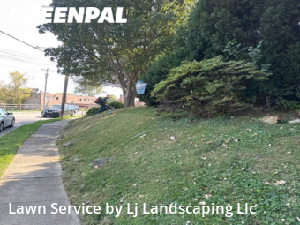 Lawn Mowing Service nearby Drexel Hill, DE, 