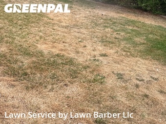 Lawn Cutting nearby Greeley, CO, 