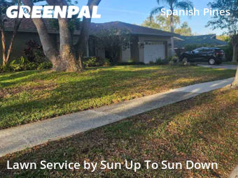 Grass Cut nearby Dunedin, FL, 