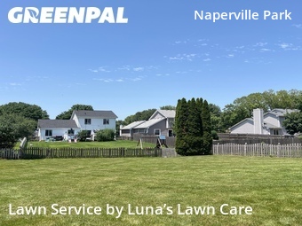 Lawn Maintenance nearby Naperville, IL, 