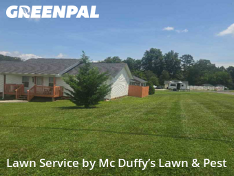 Lawn Cut nearby Baneberry, TN, 