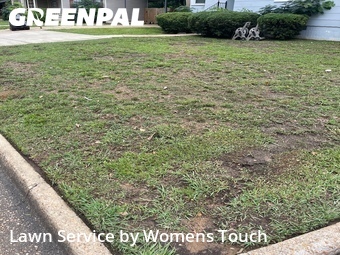 Grass Cut nearby Tuscaloosa, AL, 
