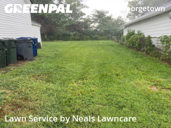 Lawn Care nearby Lexington, KY, 