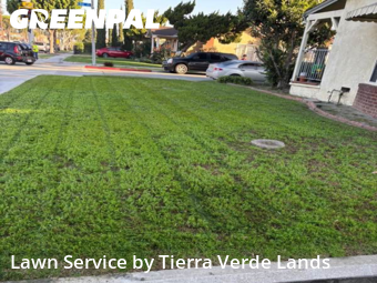 Work completed by local-landscaping-services-in-Huntington Park-CA