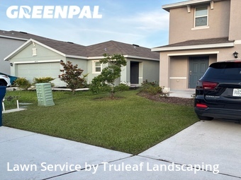 Lawn Cut nearby Parrish, FL, 