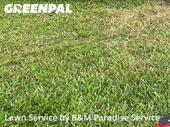 Lawn Mowing nearby Ocoee, FL, 