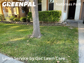 Lawn Service nearby Sacramento, CA, 