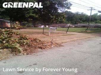 Lawn Service nearby Memphis, TN, 
