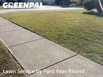 Yard Cutting nearby Fort Worth, TX, 