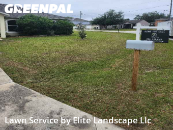 Grass Cut nearby Kissimmee, FL, 