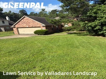 Lawn Cutting nearby Willis, TX, 