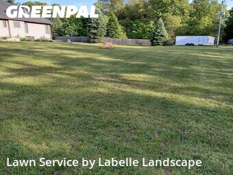 Lawn Cutting nearby Hopkins, MI, 