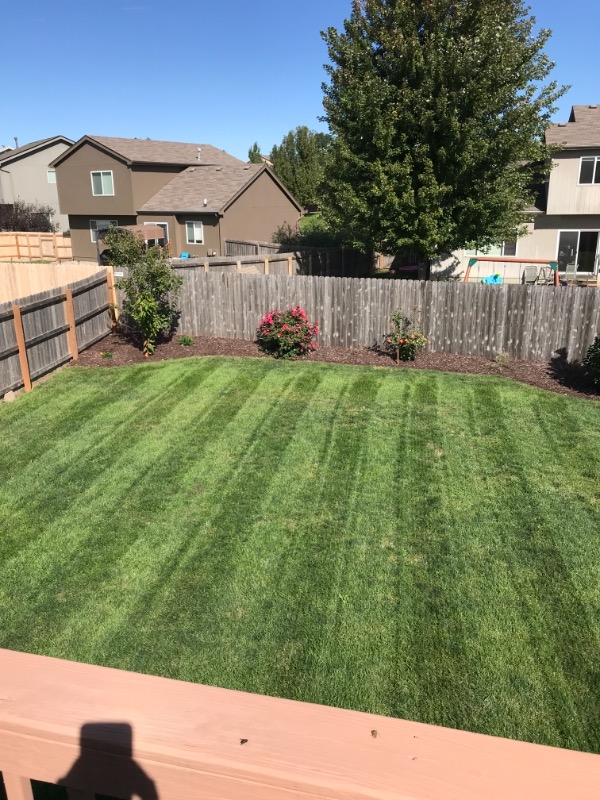 Lawn Care Service in Council Bluffs, IA, 51501