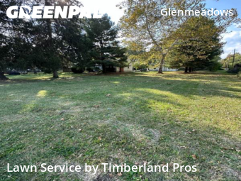 Yard Services in Reynoldsburg, 43068, Turf Services by Timberland Pros, work completed in Oct , 2025