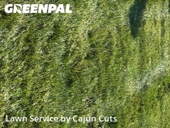 Lawn Care Service nearby Murfreesboro, TN, 