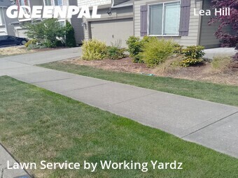Lawn mowed in Auburn, 98092
