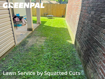 Lawn Cutting nearby Lafayette, LA, 