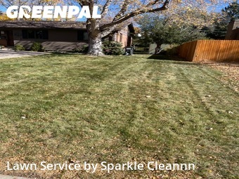 Lawn Cutting in Centennial, 80122, Yard Cutting by Sparkle Cleannn, work completed in Nov , 2025