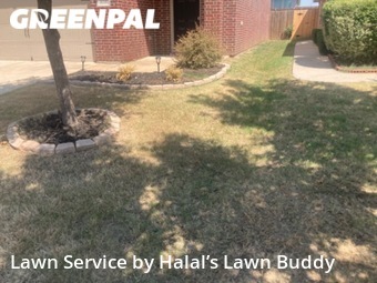 Lawn Mowing Service nearby Fort Worth, TX, 