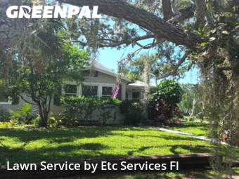 Lawn Cutin Dunedin,34698,Lawn Cut by Etc Services Fl, work completed in Nov , 2025