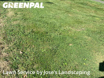 Lawn Service nearby Ashburn, VA, 