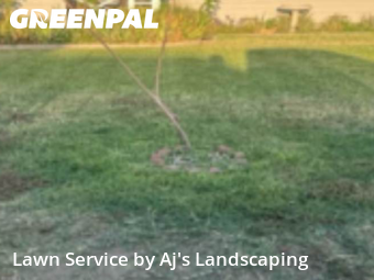 Work completed by local-landscaping-services-in-Manteca-CA
