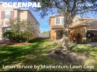 Affordable Landscaping In Tampa,33647,Landscaping Installation by Momentum Lawn Care, work completed in Nov , 2025