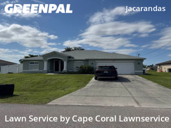 Grass Cut nearby Cape Coral, FL, 