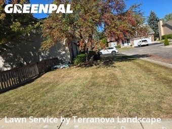 Lawn Care in Bartlett, 60103, Lawn Mowing by Terranova Landscape, work completed in Nov , 2025