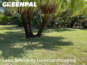 Lawn Cut nearby Melbourne Beach, FL, 