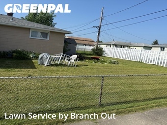 Yard Mowing nearby Buffalo, NY, 