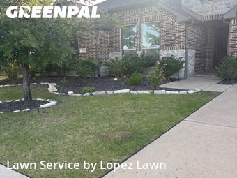 Lawn Mowing Service nearby Prosper, TX, 