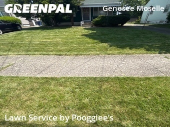 Lawn Mowing Service nearby Buffalo, NY, 